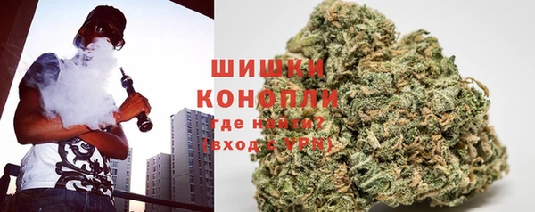 мдпв Майский