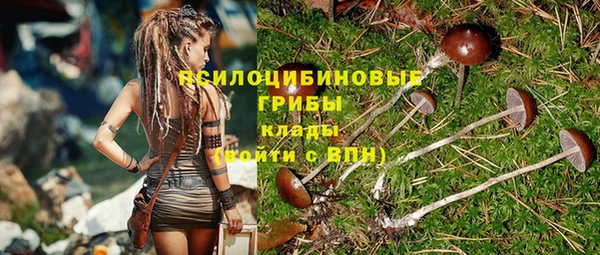 дурь Белоозёрский